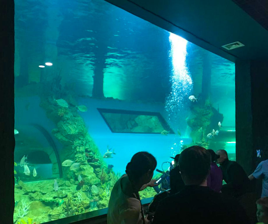 Панорамная панель главного морского аквариума.